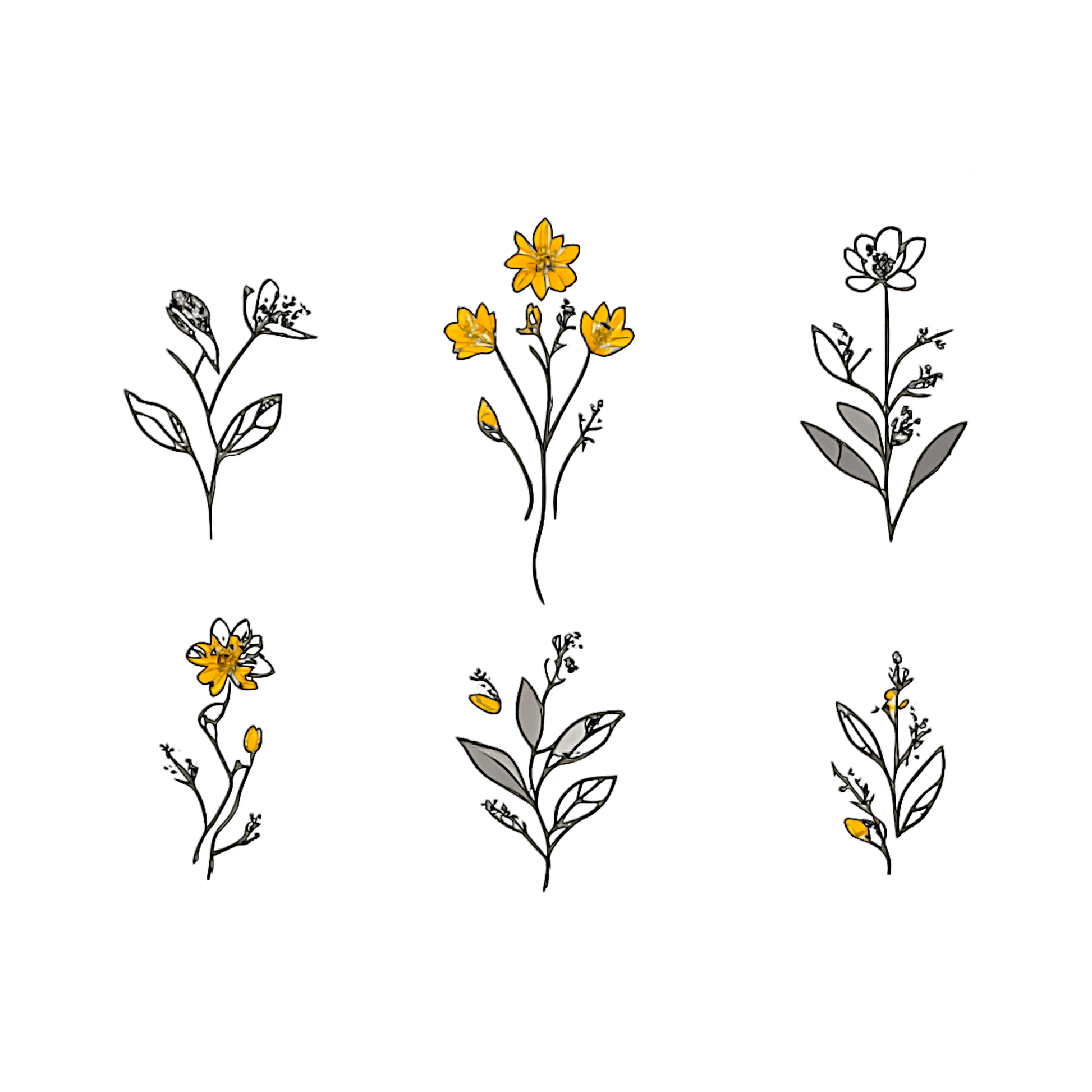 6 flowers png